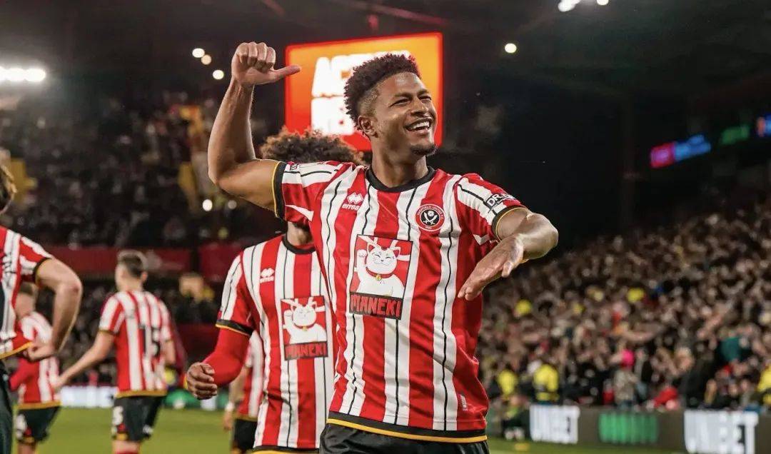 DB彩票试玩-包含桑德兰全面失利，英超征程波折连连的词条