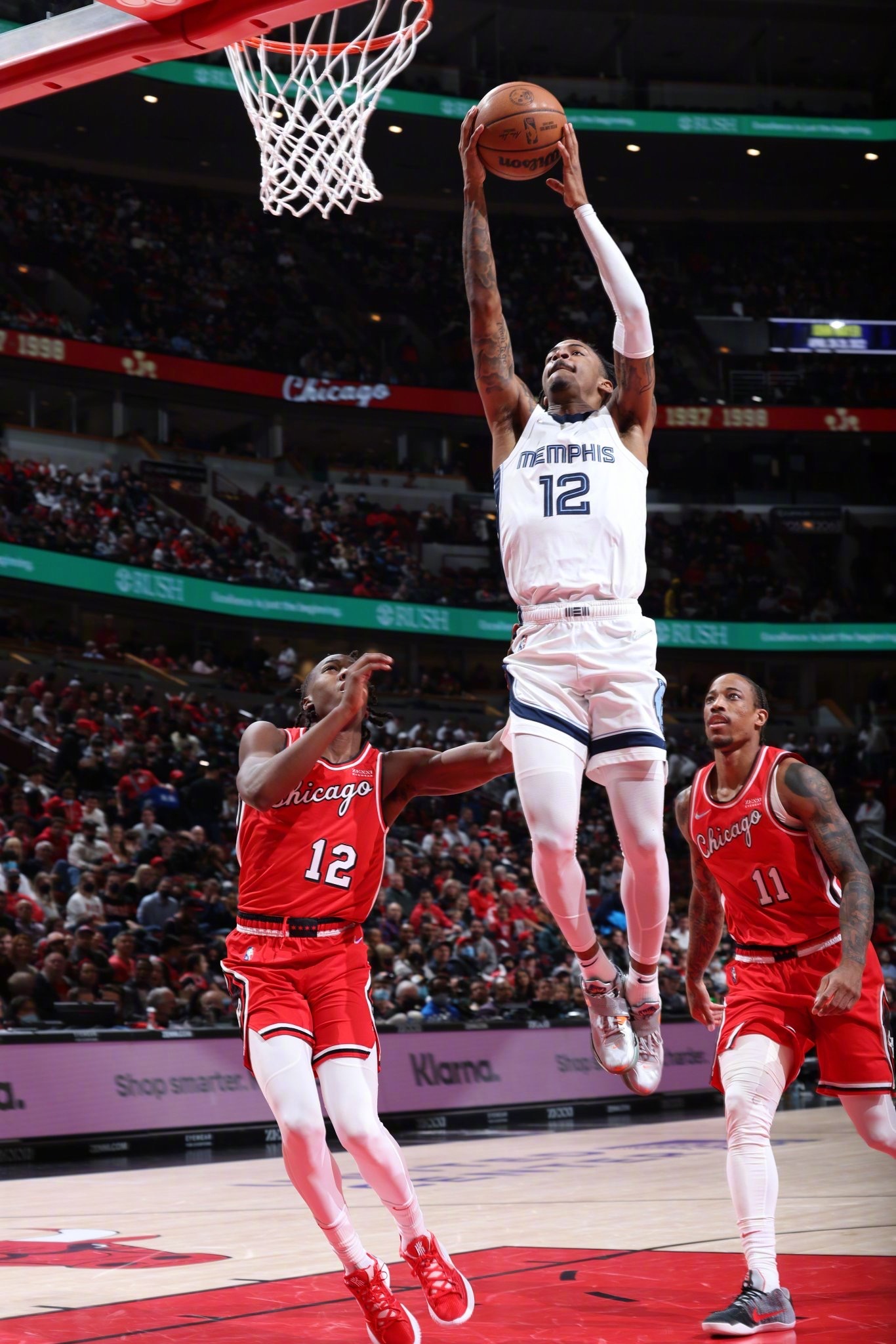 公牛击败灰熊，霍尔-霍乐迪砍下20+10的简单介绍